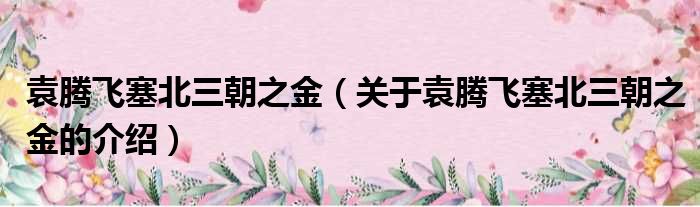 袁腾飞塞北三朝之金（关于袁腾飞塞北三朝之金的介绍）