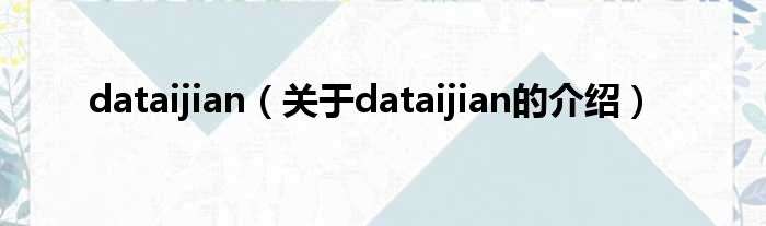dataijian（关于dataijian的介绍）