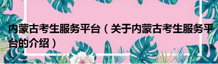 内蒙古考生服务平台（关于内蒙古考生服务平台的介绍）