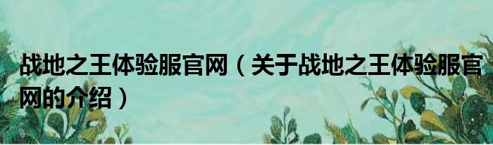 战地之王体验服官网（关于战地之王体验服官网的介绍）