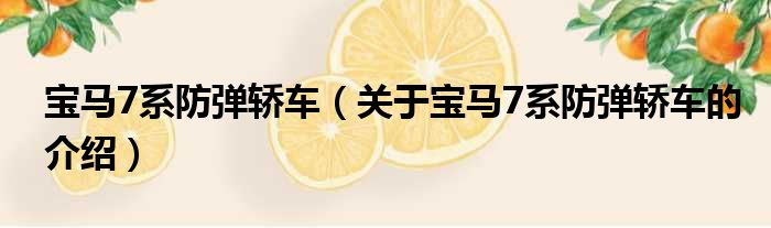 宝马7系防弹轿车（关于宝马7系防弹轿车的介绍）