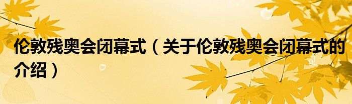 伦敦残奥会闭幕式（关于伦敦残奥会闭幕式的介绍）