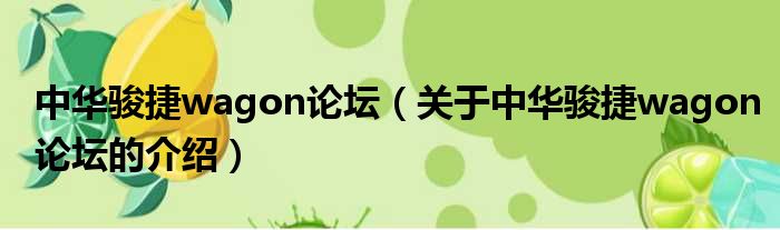 中华骏捷wagon论坛（关于中华骏捷wagon论坛的介绍）