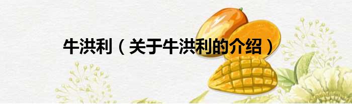 牛洪利（关于牛洪利的介绍）