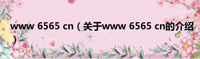 www 6565 cn（关于www 6565 cn的介绍）