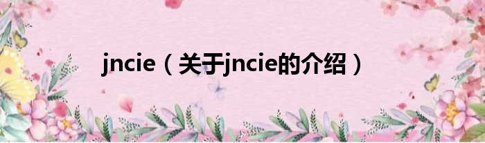 jncie（关于jncie的介绍）