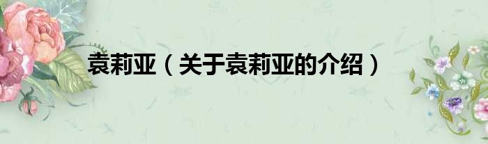袁莉亚（关于袁莉亚的介绍）
