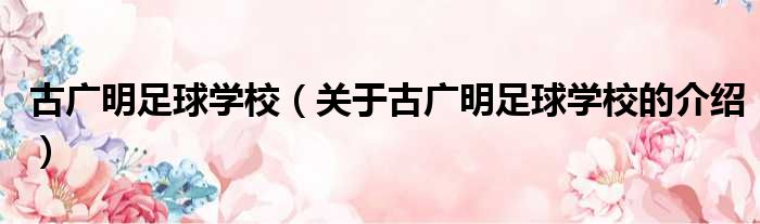 古广明足球学校（关于古广明足球学校的介绍）