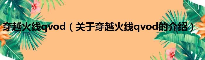 穿越火线qvod（关于穿越火线qvod的介绍）