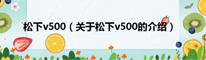 松下v500（关于松下v500的介绍）