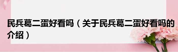 民兵葛二蛋好看吗（关于民兵葛二蛋好看吗的介绍）