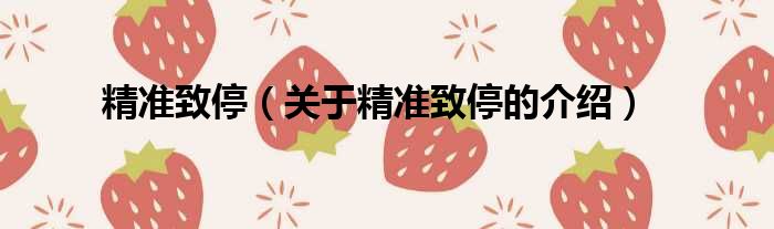 精准致停（关于精准致停的介绍）