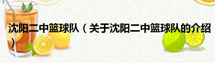 沈阳二中篮球队（关于沈阳二中篮球队的介绍）