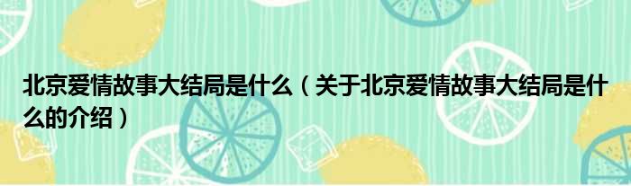 北京爱情故事大结局是什么（关于北京爱情故事大结局是什么的介绍）