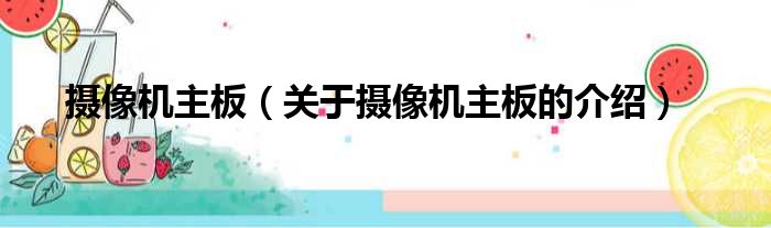 摄像机主板（关于摄像机主板的介绍）