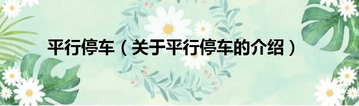 平行停车（关于平行停车的介绍）