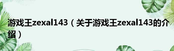 游戏王zexal143（关于游戏王zexal143的介绍）