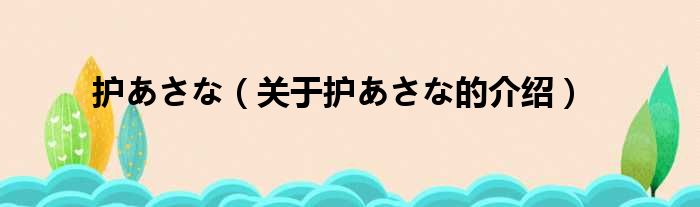 护あさな（关于护あさな的介绍）