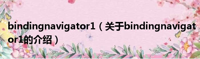 bindingnavigator1（关于bindingnavigator1的介绍）