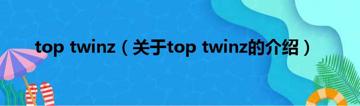 top twinz（关于top twinz的介绍）