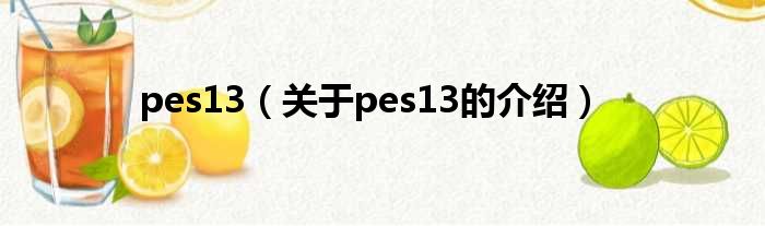 pes13（关于pes13的介绍）