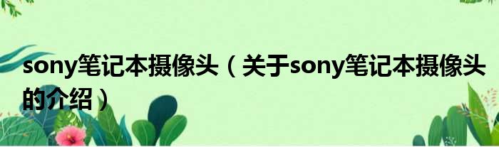 sony笔记本摄像头（关于sony笔记本摄像头的介绍）