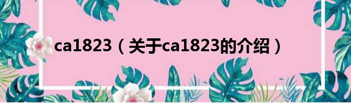 ca1823（关于ca1823的介绍）