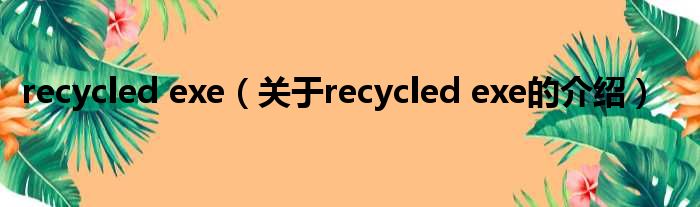 recycled exe（关于recycled exe的介绍）