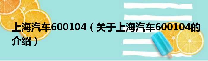 上海汽车600104（关于上海汽车600104的介绍）