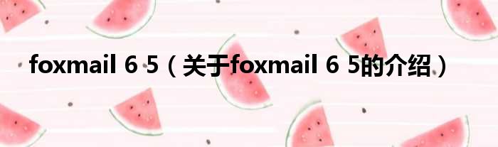 foxmail 6 5（关于foxmail 6 5的介绍）