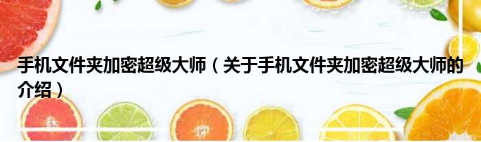 手机文件夹加密超级大师（关于手机文件夹加密超级大师的介绍）