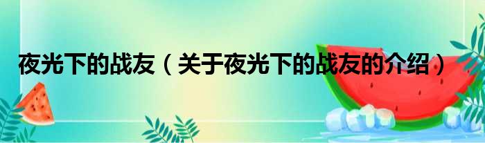 夜光下的战友（关于夜光下的战友的介绍）