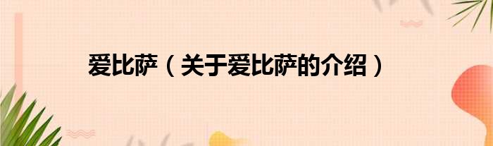爱比萨（关于爱比萨的介绍）