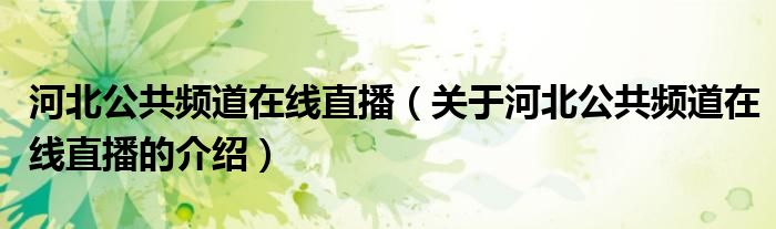 河北公共频道在线直播（关于河北公共频道在线直播的介绍）