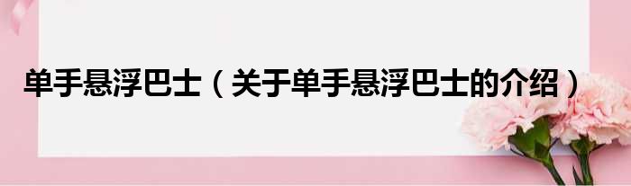 单手悬浮巴士（关于单手悬浮巴士的介绍）