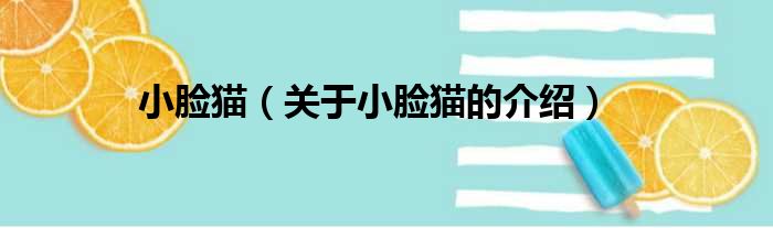 小脸猫（关于小脸猫的介绍）