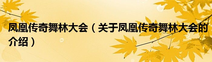 凤凰传奇舞林大会（关于凤凰传奇舞林大会的介绍）