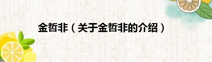 金哲非（关于金哲非的介绍）