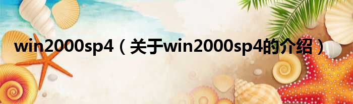 win2000sp4（关于win2000sp4的介绍）