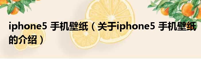 iphone5 手机壁纸（关于iphone5 手机壁纸的介绍）