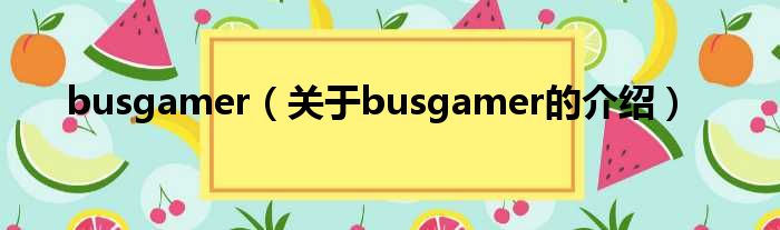 busgamer（关于busgamer的介绍）