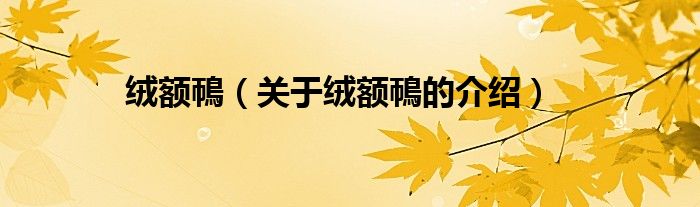 绒额鳾（关于绒额鳾的介绍）