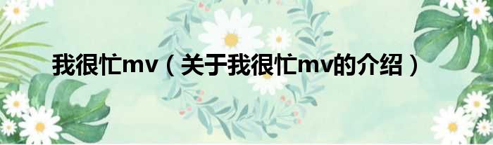 我很忙mv（关于我很忙mv的介绍）