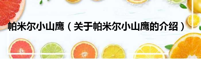 帕米尔小山鹰（关于帕米尔小山鹰的介绍）