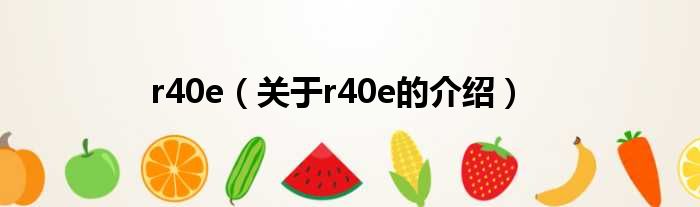 r40e（关于r40e的介绍）