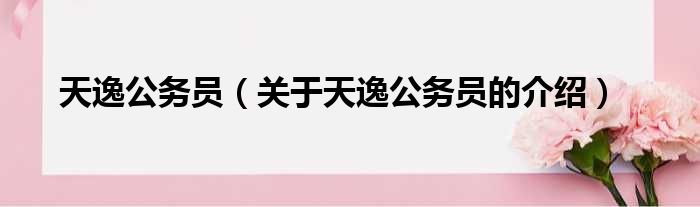 天逸公务员（关于天逸公务员的介绍）