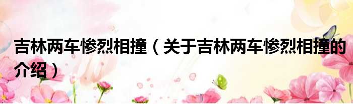 吉林两车惨烈相撞（关于吉林两车惨烈相撞的介绍）