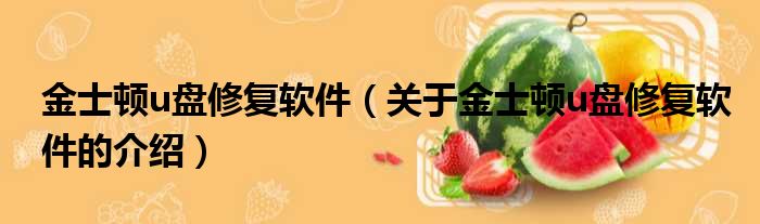 金士顿u盘修复软件（关于金士顿u盘修复软件的介绍）