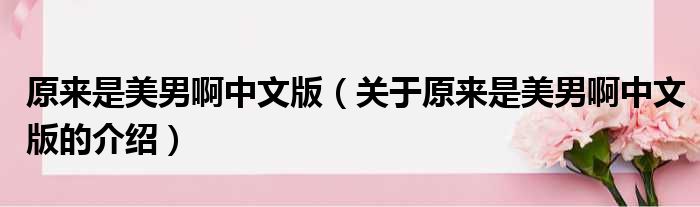 原来是美男啊中文版（关于原来是美男啊中文版的介绍）