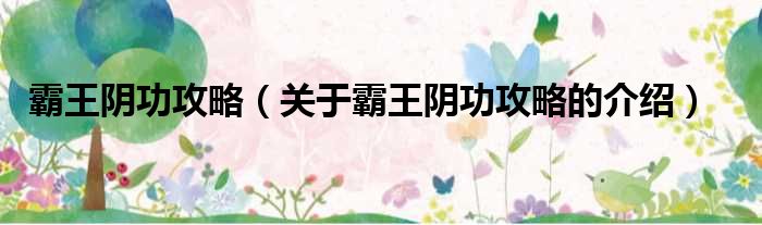 霸王阴功攻略（关于霸王阴功攻略的介绍）